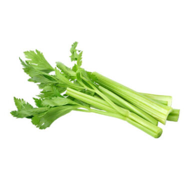 Stem Vegetables