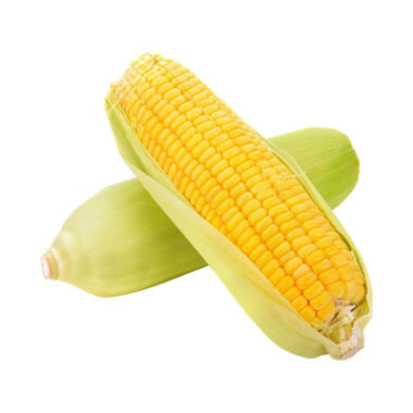 Seed Vegetables