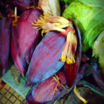 Banana blossom (banana flower)