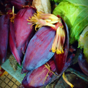Banana blossom (banana flower)