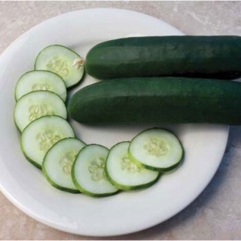 Cucumber