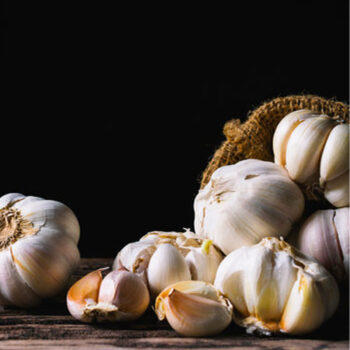 Garlic