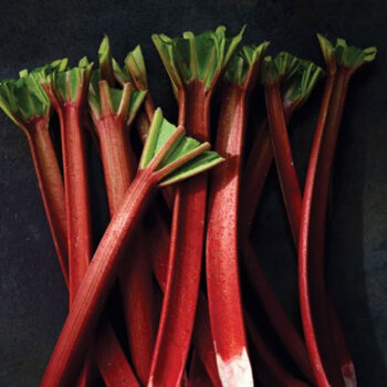 Kohlrabi
