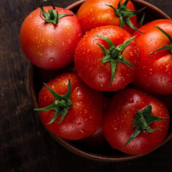 Tomato
