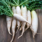 Radishes