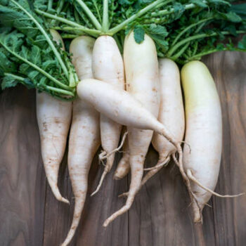 Radishes