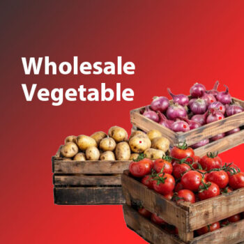 Wholesale Vegetable